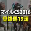 マイルチャンピオンシップ2016の出走予定馬と想定騎手｜サトノアラジン、ヤングマンパワーら19頭が登録