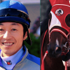 【マイルチャンピオンシップ2015】武豊、ダイワマッジョーレに騎乗予定